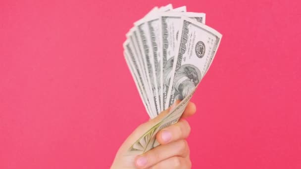 Hand Holds Dollars Money Bills Pink Color Background Counting Cash — Stock Video