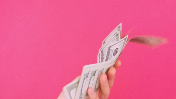 Mano Sostiene Billetes Dinero Dólares Estadounidenses Fondo Color Rosa Contando — Vídeo de stock
