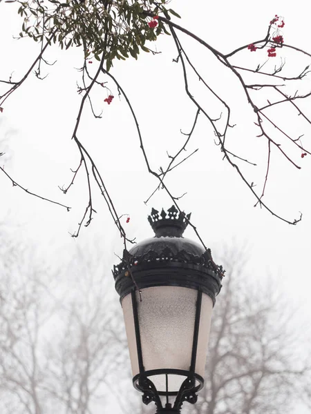 Empty Park Vintage Lanterns Trees Covered White Snow Winter Season — Fotografia de Stock