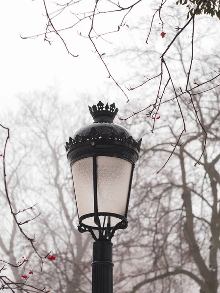 Empty Park Vintage Lanterns Trees Covered White Snow Winter Season — 图库照片