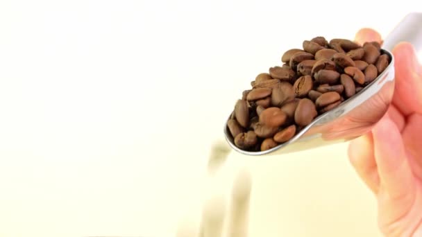 Кавові Зерна Заливаються Сталевих Совок Світлому Фоні Кафе Свіжообсмажені Ароматичні — стокове відео