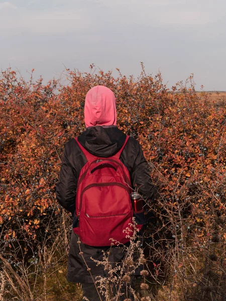 여행하는 여자는 배낭을 채아름다운 하늘을 열매가 나무숲의 분홍색 후드를 소녀가 — 스톡 사진