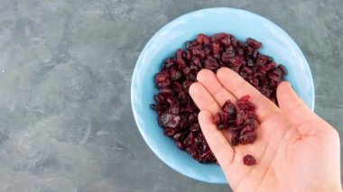 Kurutulmuş yaban mersinli mavi kase elinde. Sağlıklı kuru kırmızı böğürtlen. Organik besleyici, lezzetli çiftçiler, C vitamini. Doğal besin malzemeleri, kahvaltı lapası, tahıl gevreği..
