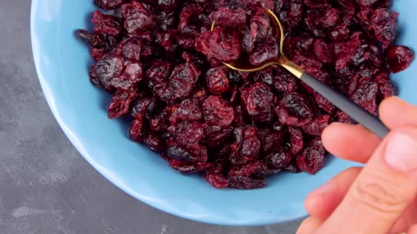 蓝碗顶部的干果 健康的干红莓汤匙 天然食物配料补充早餐粥麦片 — 图库视频影像