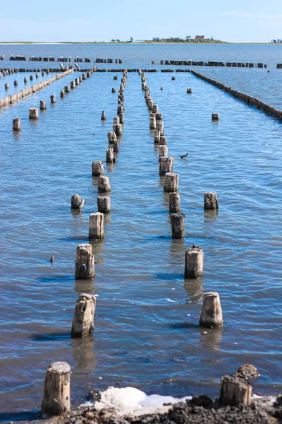 İyileştirici çamur dalgaları. Deniz kıyısındaki hastalar için spa tedavisi. Güzellik sağlığı ve vücut bakımı konsepti. Plajın yakınındaki tuzlu suda tedavi amaçlı kil kullanılmış..