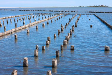 İyileştirici çamur dalgaları. Deniz kıyısındaki hastalar için spa tedavisi. Güzellik sağlığı ve vücut bakımı konsepti. Plajın yakınındaki tuzlu suda tedavi amaçlı kil kullanılmış..