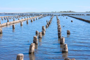 İyileştirici çamur dalgaları. Deniz kıyısındaki hastalar için spa tedavisi. Güzellik sağlığı ve vücut bakımı konsepti. Plajın yakınındaki tuzlu suda tedavi amaçlı kil kullanılmış..