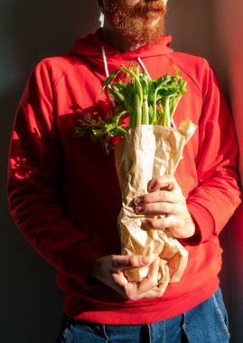 Kırmızı kapüşonlu sakallı adam elinde taze yeşil kereviz tutuyor. Sebze toplama sağlıklı yaşam biçimi çiğ vejetaryen gıda alışverişi. Beslenme uzmanı çiftçi bahçesi hasat ediyor.