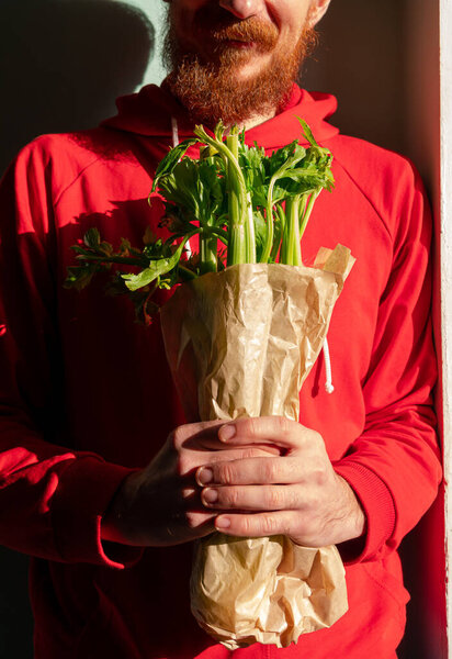 Bearded man in red hoody holds fresh green celery in hand harsh shadow. Vegetable gathering Healthy lifestyle raw greenery vegan food grocery shopping. Nutritionist occupation Farmer garden harvesting