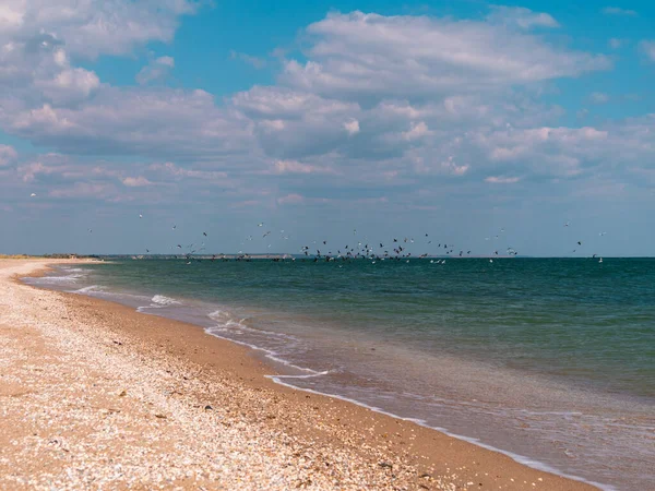 Playa Vacía Con Mar Azul Gaviotas Voladoras Cielo Día Soleado — Foto de Stock