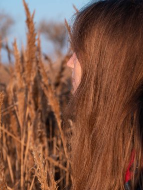 Kuru sazlıklarda uzun sarı saçlı, güzel bir milenyum kızı. Boş plaj günbatımında doğal kahverengi saçlı genç bir kadın. Saç boyama paleti. Gerçek bir kadın portresi..