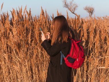 Sırt çantalı, akıllı telefonlu, siyah paltolu güzel bir genç kadın otların üzerinde gün batımı gökyüzü kuru sazlıklar. Bin yıllık uzun saçlı kız yalnız zaman geçiriyor. Mobil aygıtı olan gerçek insanlar dışarıda yaşıyor..