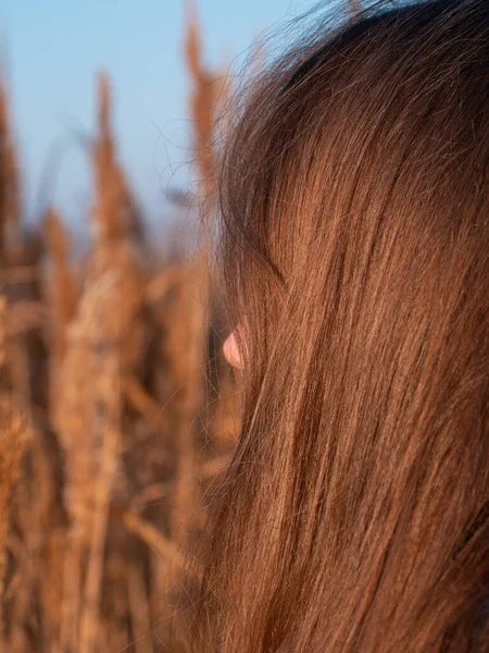 Kuru sazlıklarda uzun sarı saçlı, güzel bir milenyum kızı. Boş plaj günbatımında doğal kahverengi saçlı genç bir kadın. Saç boyama paleti. Gerçek bir kadın portresi..