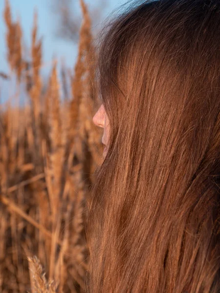 Kuru sazlıklarda uzun sarı saçlı, güzel bir milenyum kızı. Boş plaj günbatımında doğal kahverengi saçlı genç bir kadın. Saç boyama paleti. Gerçek bir kadın portresi..