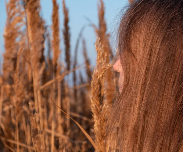 Kuru sazlıklarda uzun sarı saçlı, güzel bir milenyum kızı. Boş plaj günbatımında doğal kahverengi saçlı genç bir kadın. Saç boyama paleti. Gerçek bir kadın portresi..