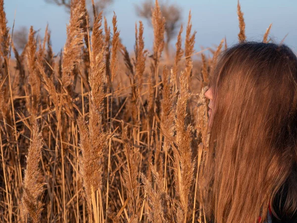 Kuru sazlıklarda uzun sarı saçlı, güzel bir milenyum kızı. Boş plaj günbatımında doğal kahverengi saçlı genç bir kadın. Saç boyama paleti. Gerçek bir kadın portresi..