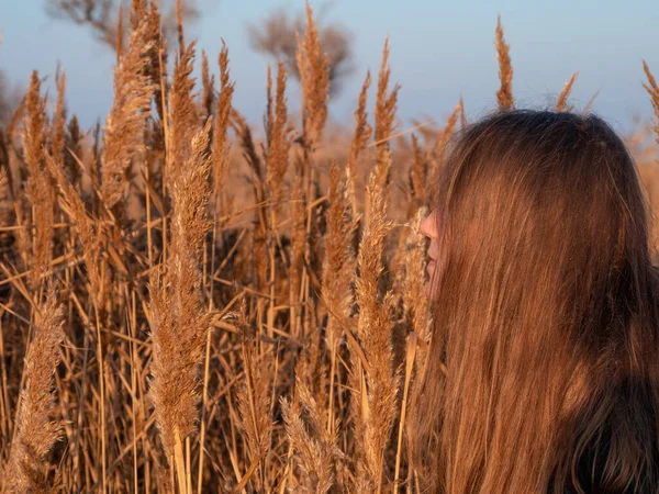 Kuru sazlıklarda uzun sarı saçlı, güzel bir milenyum kızı. Boş plaj günbatımında doğal kahverengi saçlı genç bir kadın. Saç boyama paleti. Gerçek bir kadın portresi..