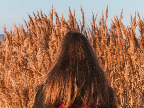 Kuru sazlıklarda uzun sarı saçlı, güzel bir milenyum kızı. Boş plaj günbatımında doğal kahverengi saçlı genç bir kadın. Saç boyama paleti. Gerçek bir kadın portresi..