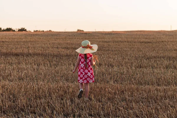 Child Girl Straw Hat Dress Wheat Spikelets Field Cute Kid — Stock Photo, Image