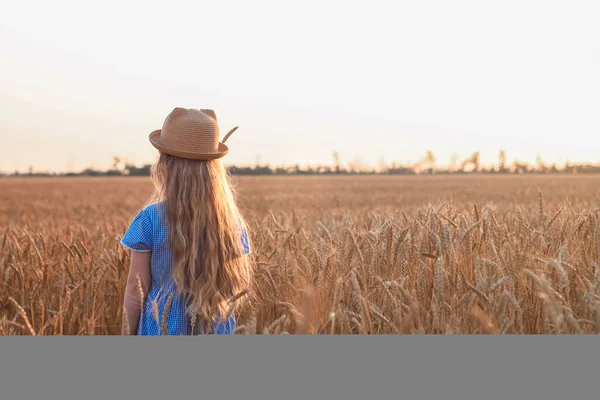 Děvčátko Slámových Šatech Pšeničných Hřeby Pole Roztomilé Dítě Pohled Zpět — Stock fotografie