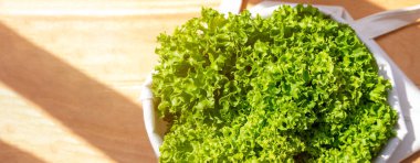 Eko alışveriş torbası manzaralı taze marul salatası. Sürdürülebilir Yaşayan Dükkan yerel konsepti. Yeşil yapraklı sebze çantası. Sıfır atık plastik konsept. Sağlıklı vejetaryen gıdası.