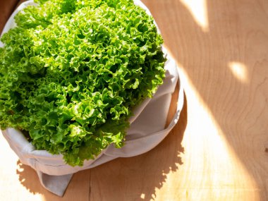 Eko alışveriş torbası manzaralı taze marul salatası. Sürdürülebilir Yaşayan Dükkan yerel konsepti. Yeşil yapraklı sebze çantası. Sıfır atık plastik konsept. Sağlıklı vejetaryen gıdası.