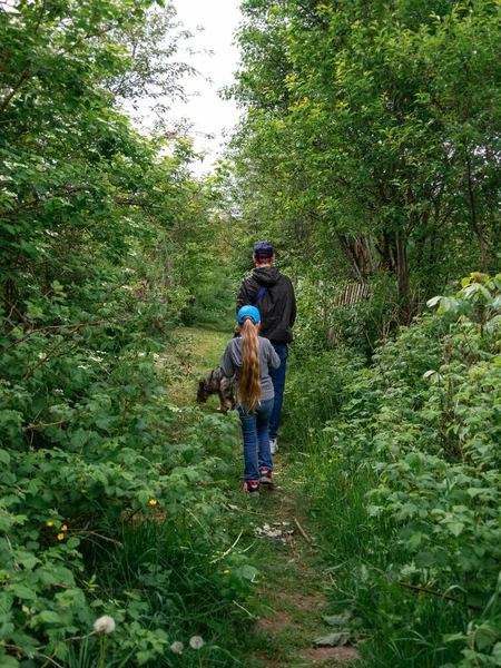 Family walking with dogs on green grass rural landscape. Countryside cottagecore style. Camping activity spring forest. Candid authentic people father and daughter with pets from behind hiking outdoor