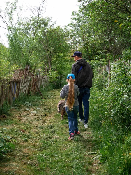 Family walking with dogs on green grass rural landscape. Countryside cottagecore style. Camping activity spring forest. Candid authentic people father and daughter with pets from behind hiking outdoor