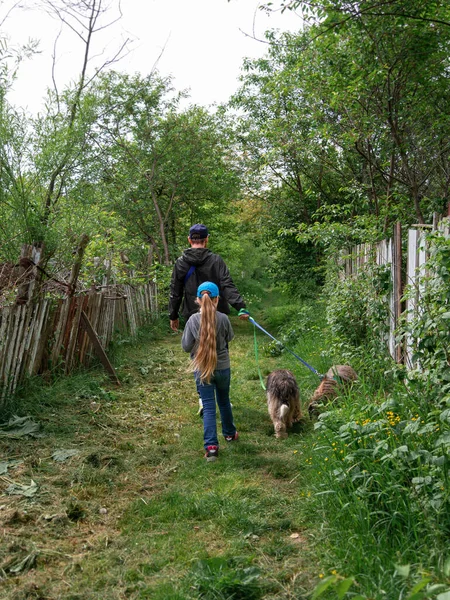 Family walking with dogs on green grass rural landscape. Countryside cottagecore style. Camping activity spring forest. Candid authentic people father and daughter with pets from behind hiking outdoor