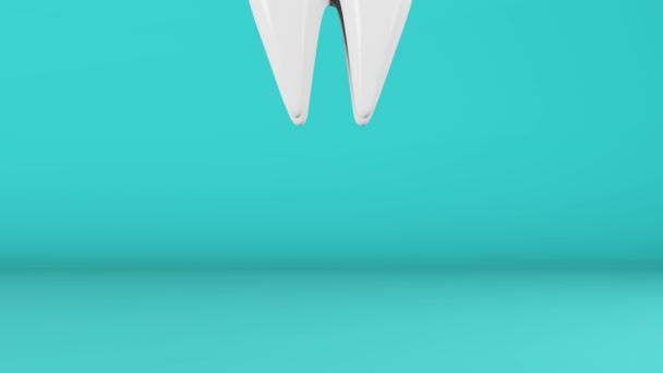 Branco Dente Molar Saudável Saltando Animação Fundo Azul Esmalte Branqueamento — Vídeo de Stock