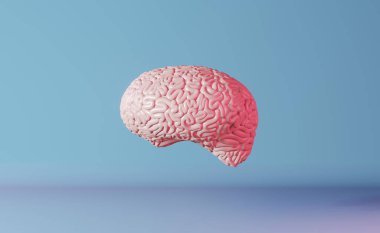 İnsan beyni sağlığı, açık mavi arka plan, 3D görüntüleme. Yaratıcı fikir Yapay Zeka Pozitif Düşünce Duygusu Zihinsel Sağlık. Hafıza Geliştirme Farkındalık Bilişsel Gelişim