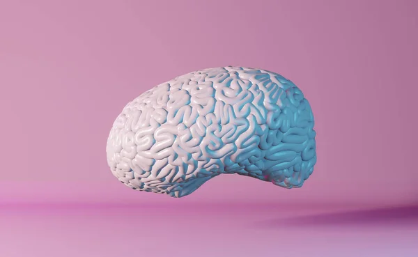 Human brain health neon light pink background 3d rendering. Creative idea Artificial intelligence Positive thinking emotion Mental health.Memory improvement Mindfulness Education Cognitive development