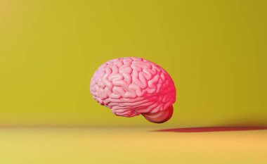İnsan beyni açık sarı arka plan 3D görüntüleme. Yaratıcı fikir Yapay Zeka Dil Öğrenme Yetenekleri Akıl Sağlığı. Hafıza Geliştirme Farkındalık Eğitimi Bilişsel Gelişme