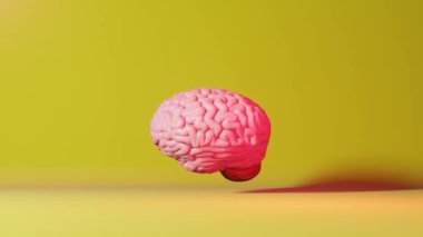 İnsan beyni neon ışığı sarı arka plan 3D animasyon. Yaratıcı fikir Yapay Zeka Dil Öğrenme Yetenekleri Akıl Sağlığı. Hafıza Geliştirme Farkındalık Eğitimi Bilişsel Gelişme