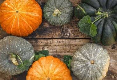 Turuncu ve yeşil balkabakları ahşap bir masada, üst manzara..