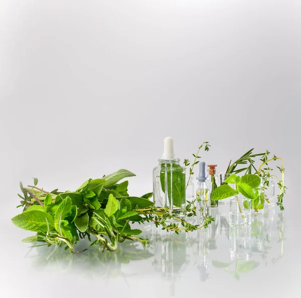 Pharmacy bottles are bottles among the collected parts of green plants. — Stock Photo, Image