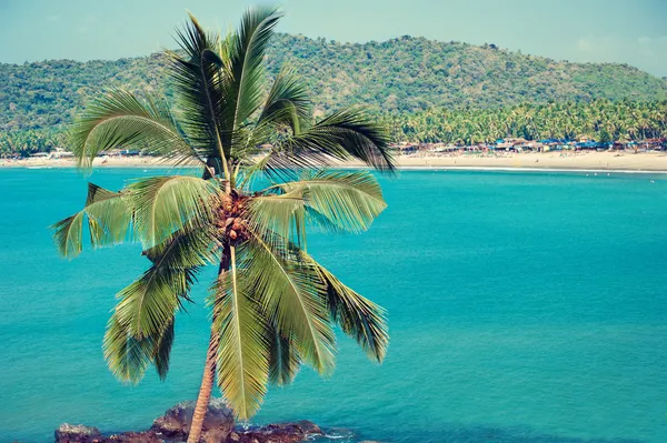 Tropiska stranden i palolem — Stockfoto