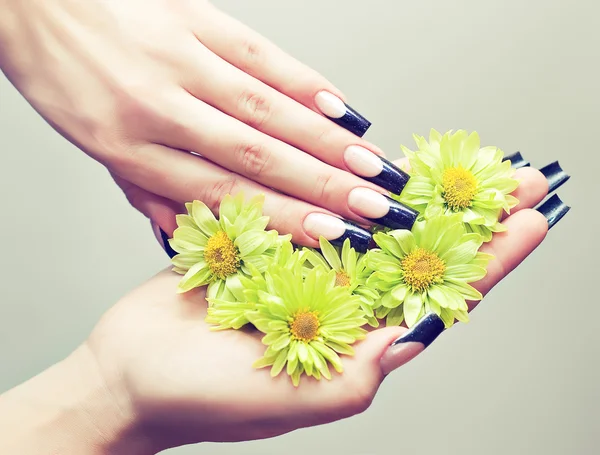 Женская рука и цветы — стоковое фото
