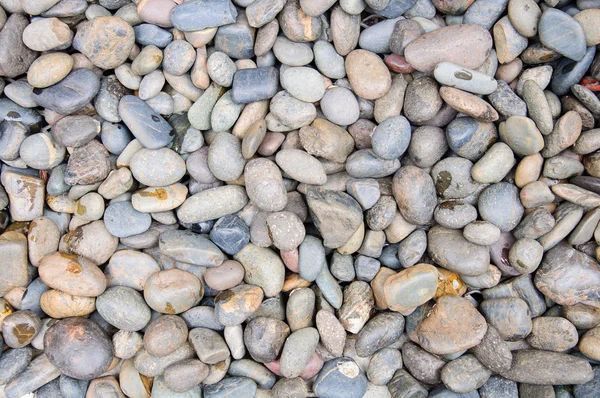 Pebbles and stones — Stock Photo, Image