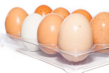 Pakette yumurtalar var.