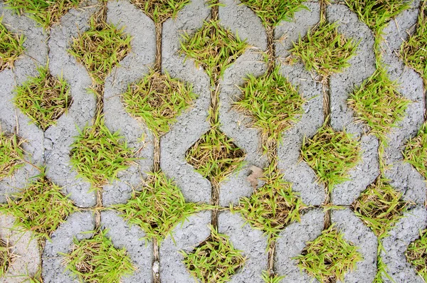 Stone block with grass. — Stock Photo, Image