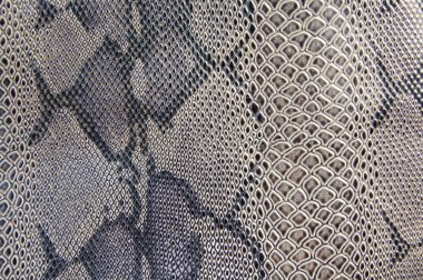 Yılan derisi arkaplanı