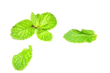 izole kapatmak içinde taze nane.