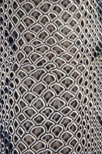 Snake skin background — Stock Photo, Image