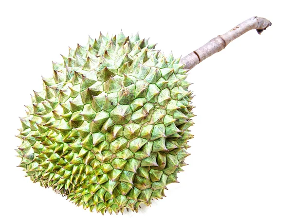 Konge av frukt, durian på hvit bakgrunn – stockfoto