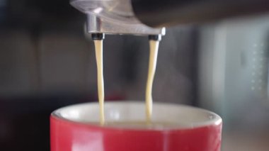 UHD 4k Yavaş çekim B Roll kahve fincanındaki makineden akıyor. Ev yapımı sıcak Espresso. Filtre tutacağı kullanılıyor. Taze kahve akıyor. Sabahları kavrulmuş sade kahve içmek.. 