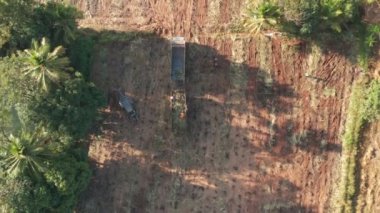 Şeker kamışı tarlasının havadan görünüşü Tayland 'ın güneydoğusundaki şeker kamışı tarlasında mekanik hasat. Takip eden hava aracı şeker kamışı tarlasını hasat ediyor. Tarım. Kamera b rulosu.