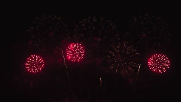 映画夜の背景に本物の花火のBロール 夜空にボケが灯る抽象的な本物の輝く花火 お祝い花火大会や新年の前夜祭 カラフルな花火 — ストック動画