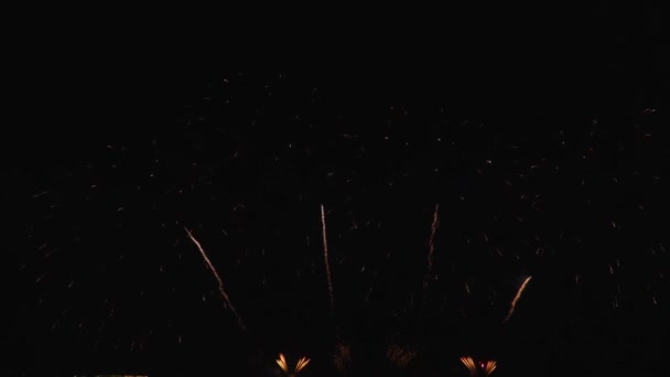 Bilder Real Fireworks Natten Bakgrunder Abstrakta Verkliga Lysande Fyrverkerier Med — Stockvideo