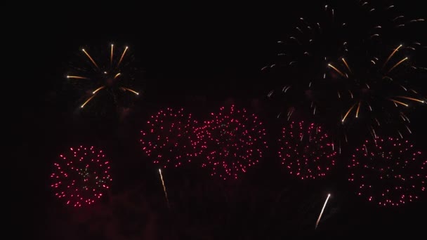 Bilder Real Fireworks Natten Bakgrunder Abstrakta Verkliga Lysande Fyrverkerier Med — Stockvideo